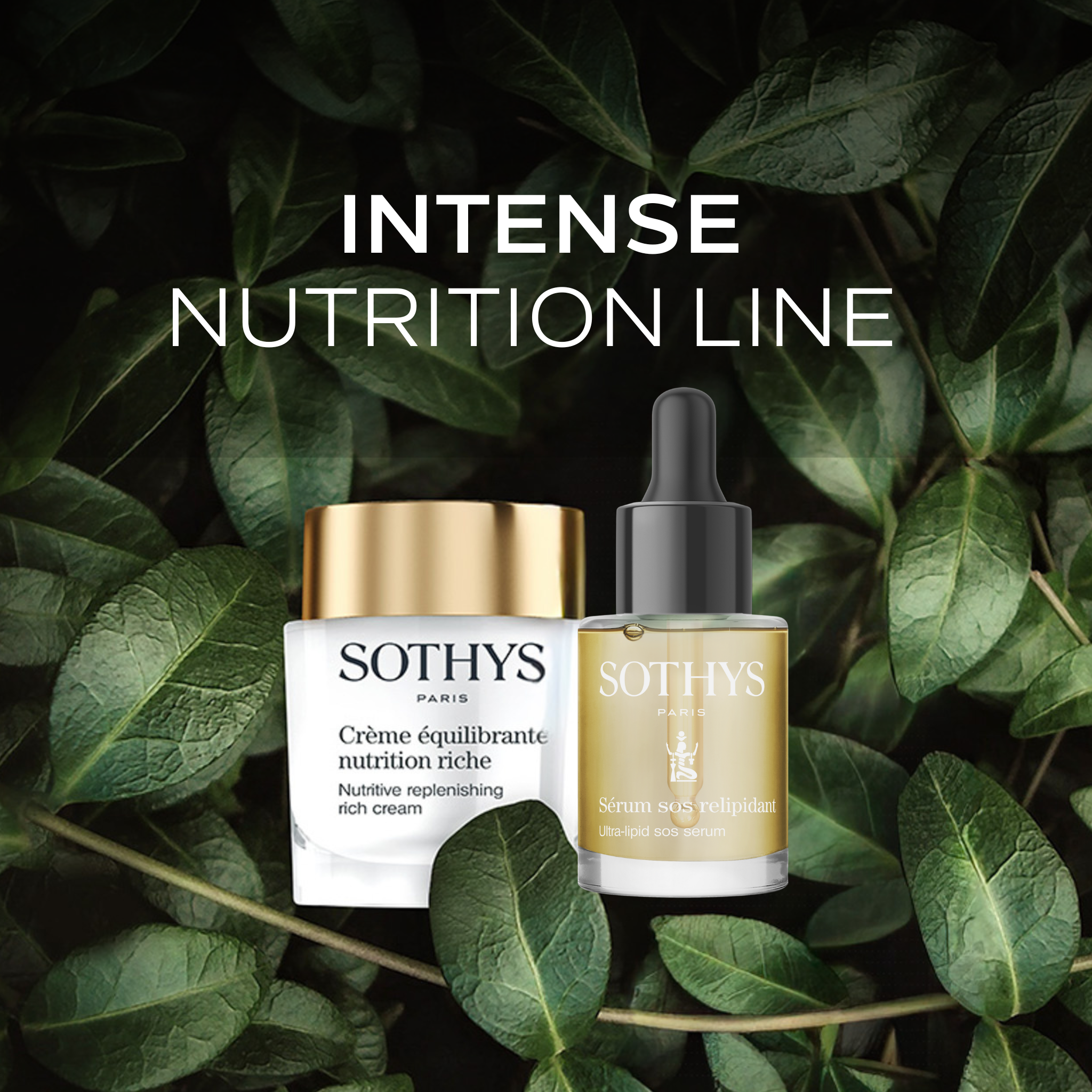 Intense Nutrition Line
