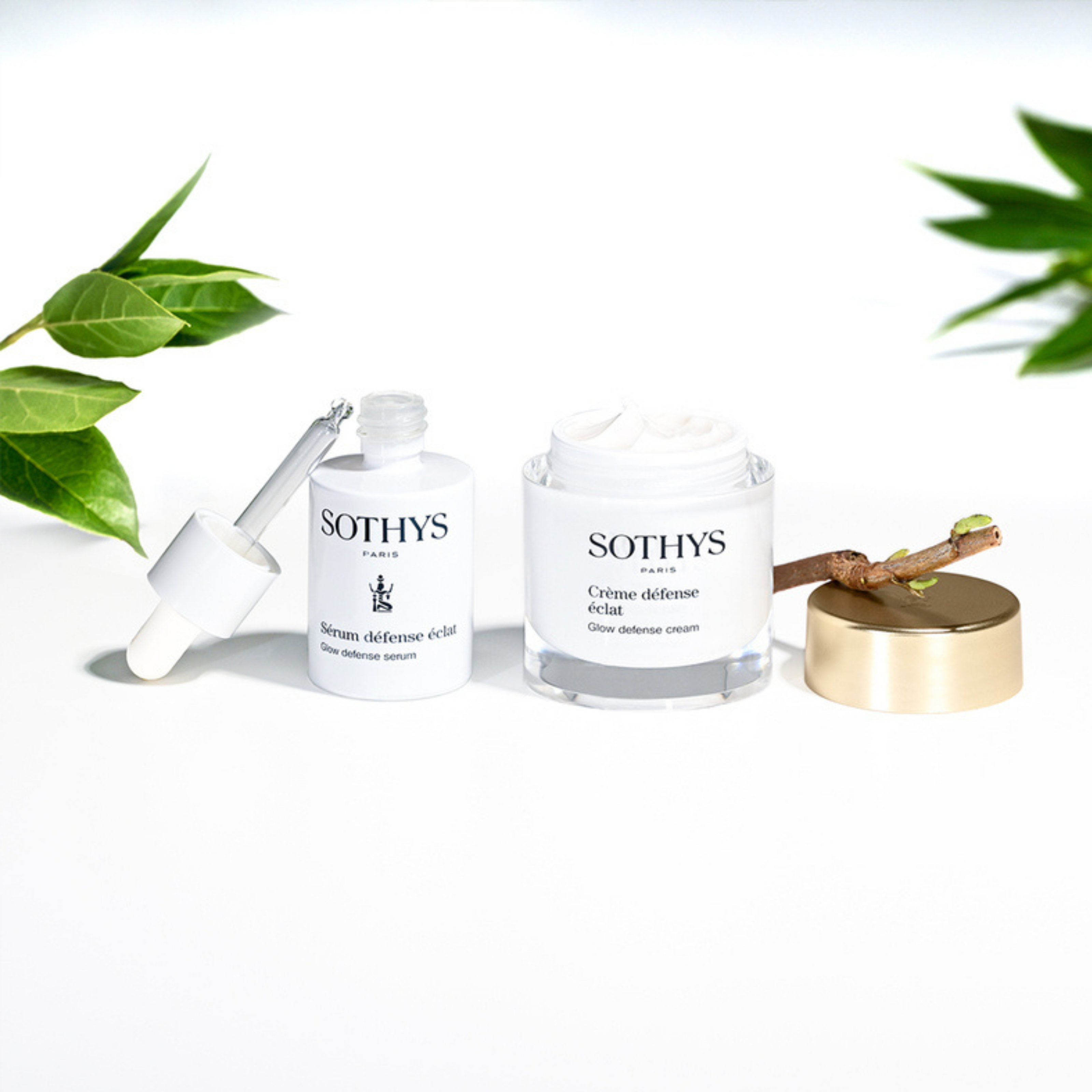 Organic Elderberry Extract. [PATENT N°1853898]