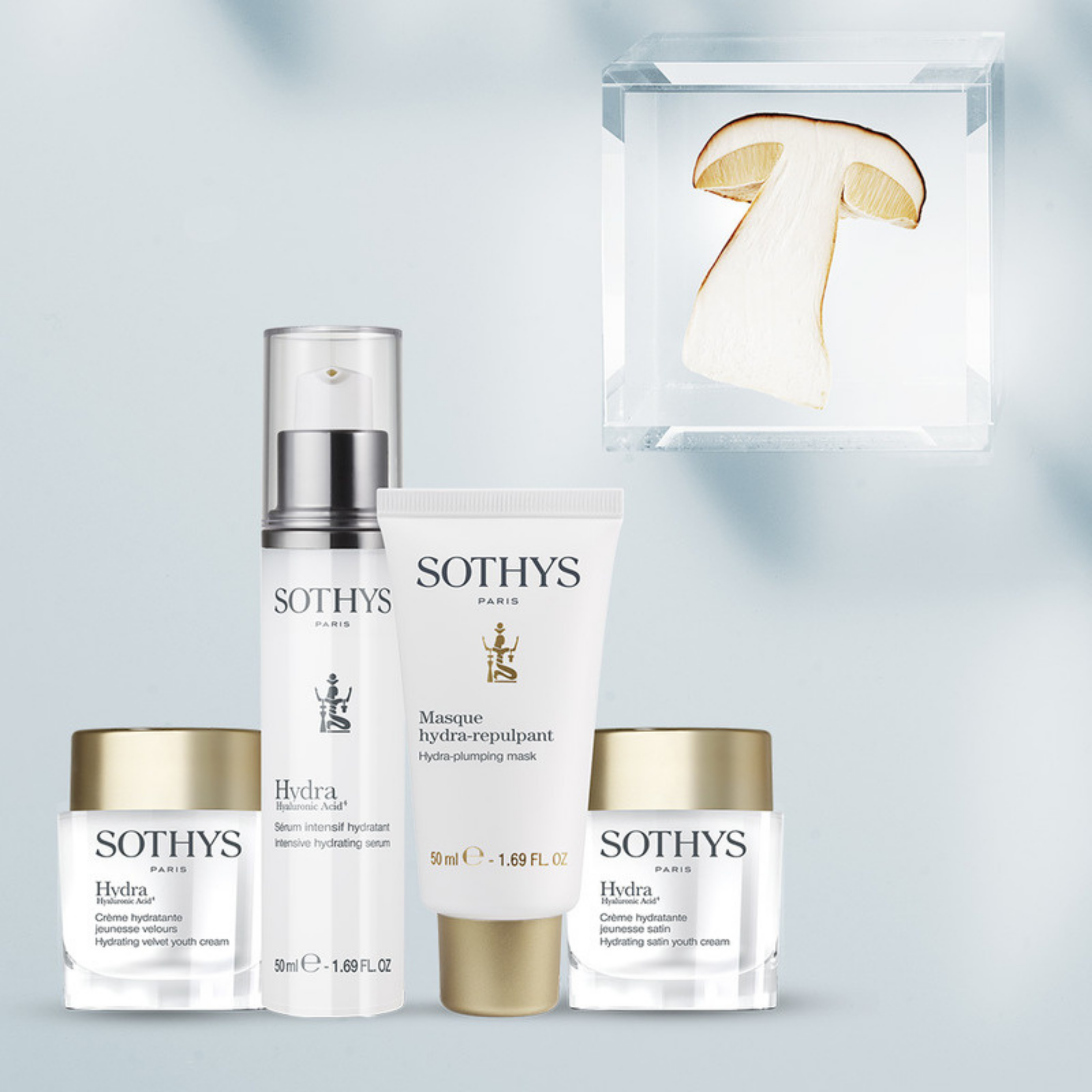 Patented 1055 Boletus Extract. [PATENT N°1055097]