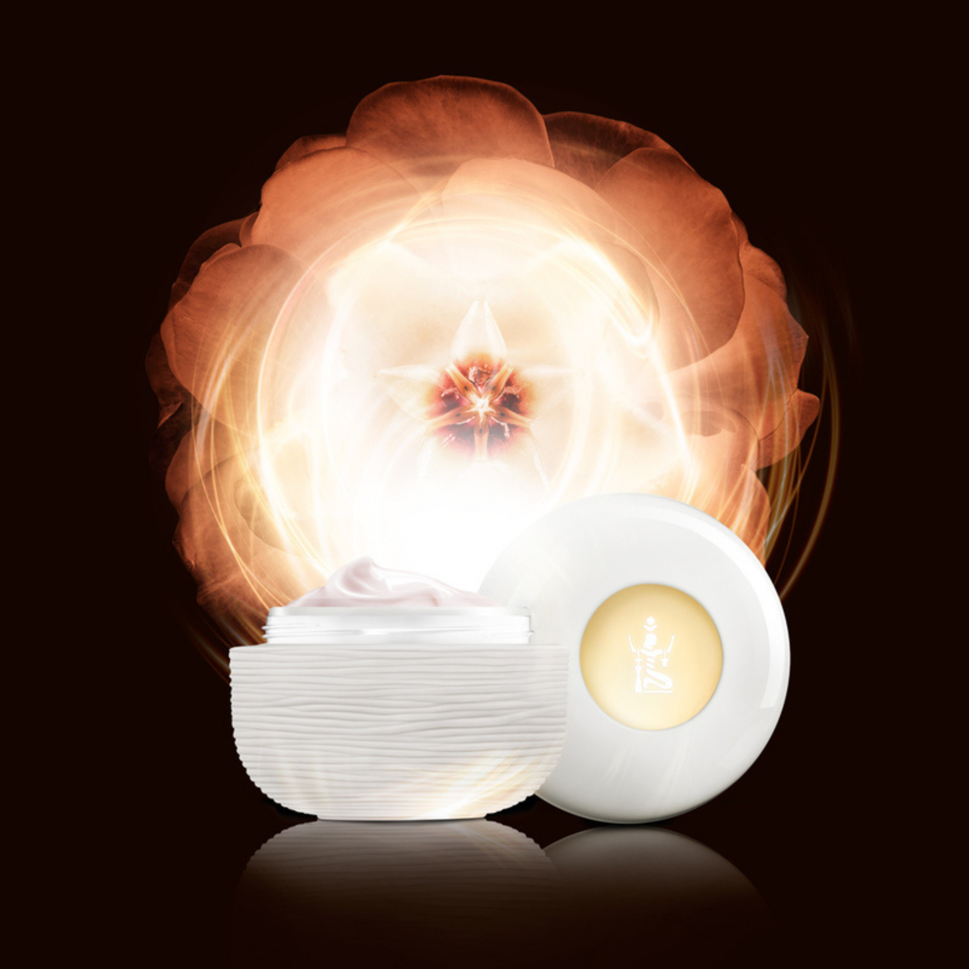 Sothys Rose Stem Cells