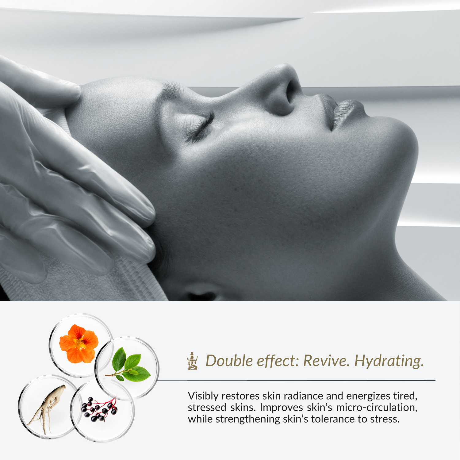 Pro Dermobooster Synergy Treatment - Moist DX Glow